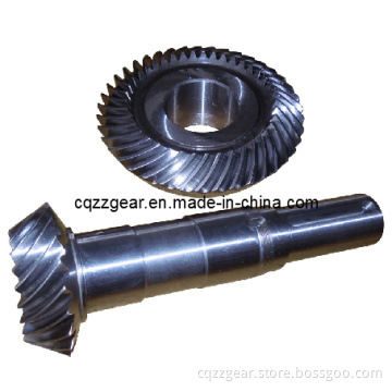 Spiral Bevel Gear (ZZ1018)
